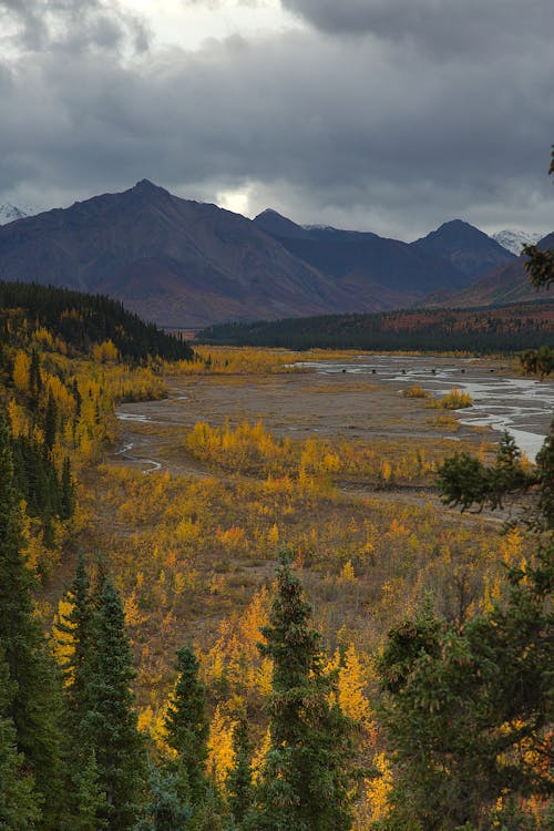 A Field in Autumnal Colors and Mountains in the Background 