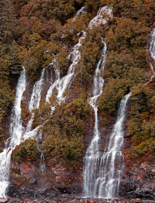 Kostenloses Stock Foto zu bäume, berg, felsig