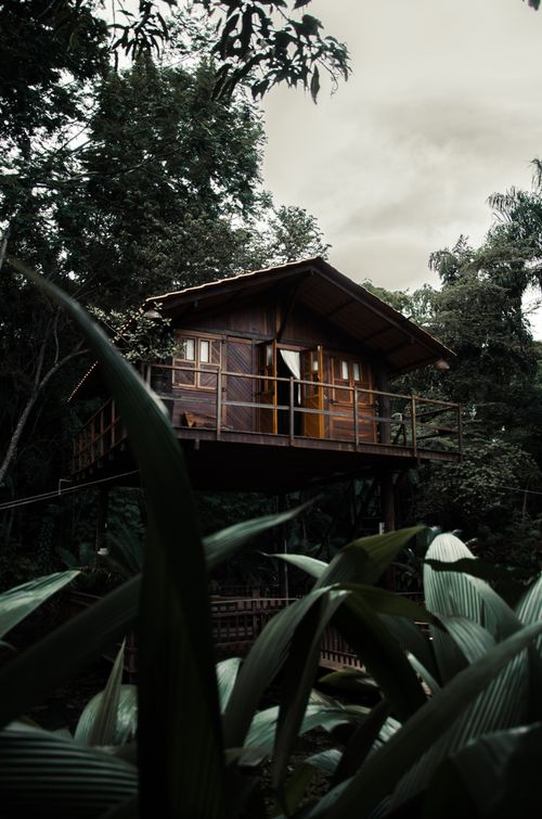 Free Charming wooden cabin surrounded by dense greenery, offering a tranquil nature retreat. Stock Photo