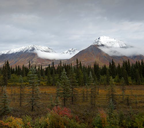 Fotobanka s bezplatnými fotkami na tému hory, hracie pole, jeseň