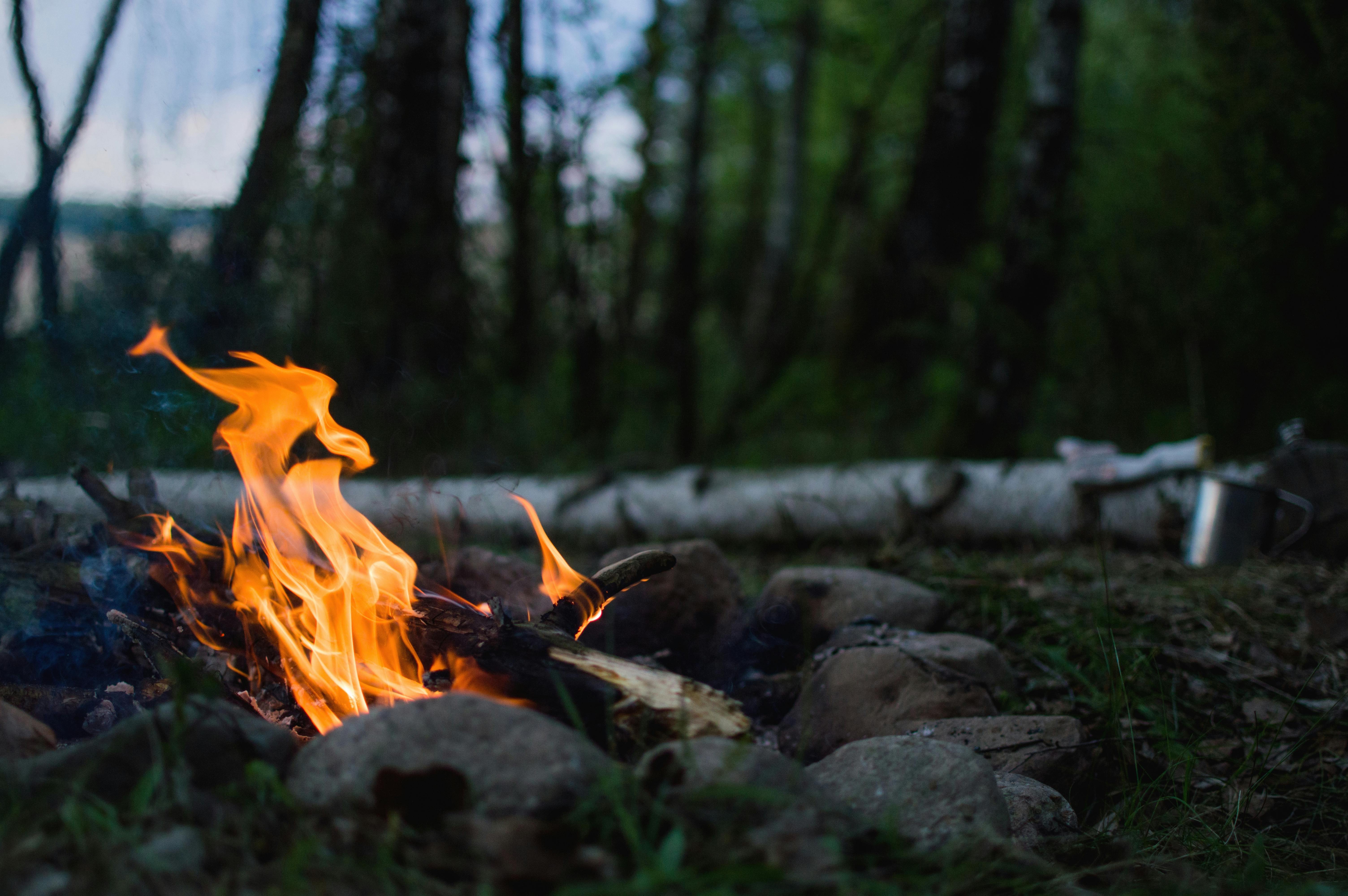 Bonfire in Forest during Night Time · Free Stock Photo