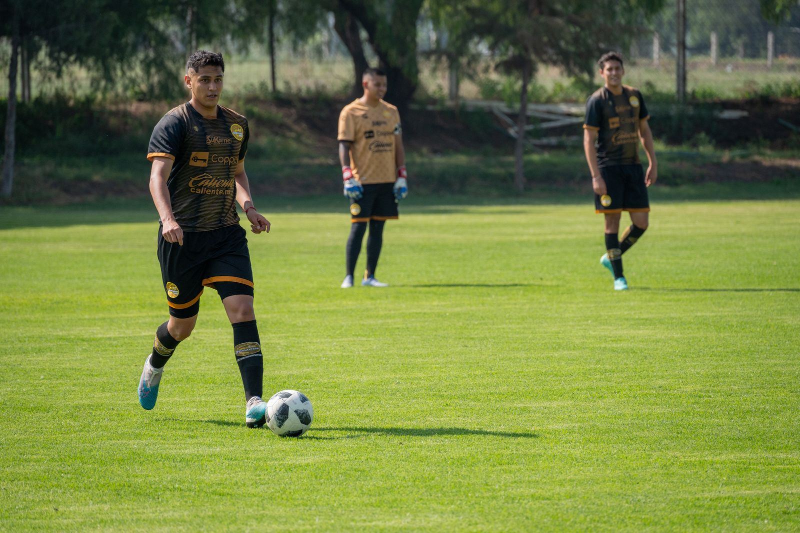 Illustrative soccer action photo for this sample profile
