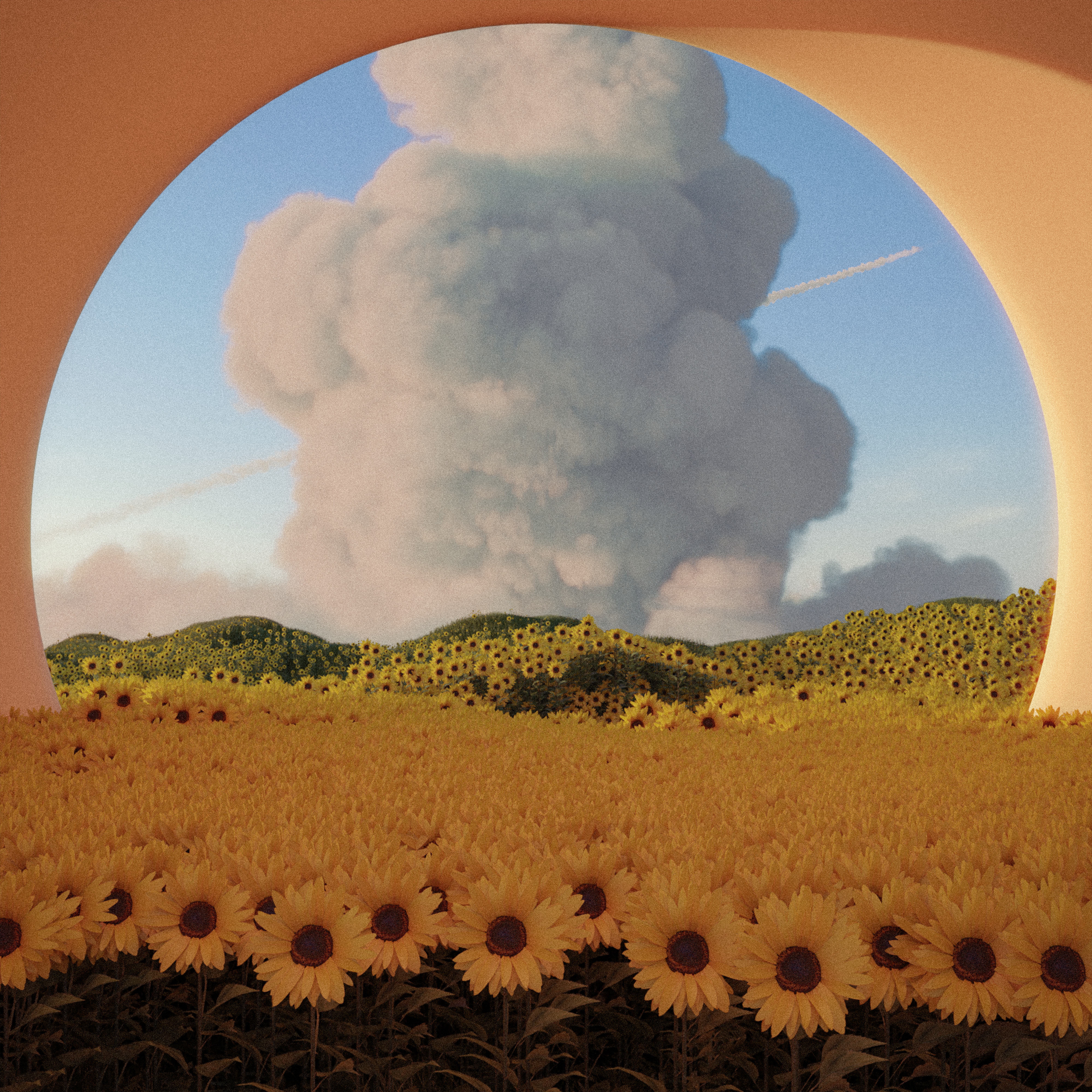 Sunflowers and Cloud behind