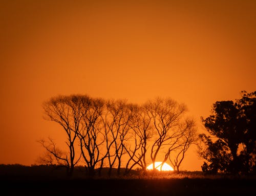 คลังภาพถ่ายฟรี ของ ขอบฟ้า, ซิลูเอตต์, ดวงอาทิตย์