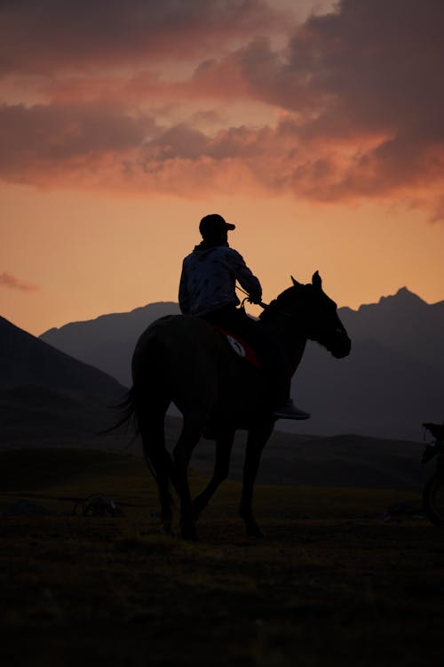 Man Riding Horse at Dusk
