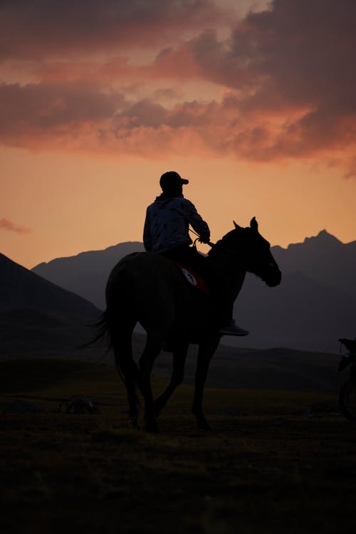 Kostenloses Stock Foto zu außerorts, cowman, dämmerung