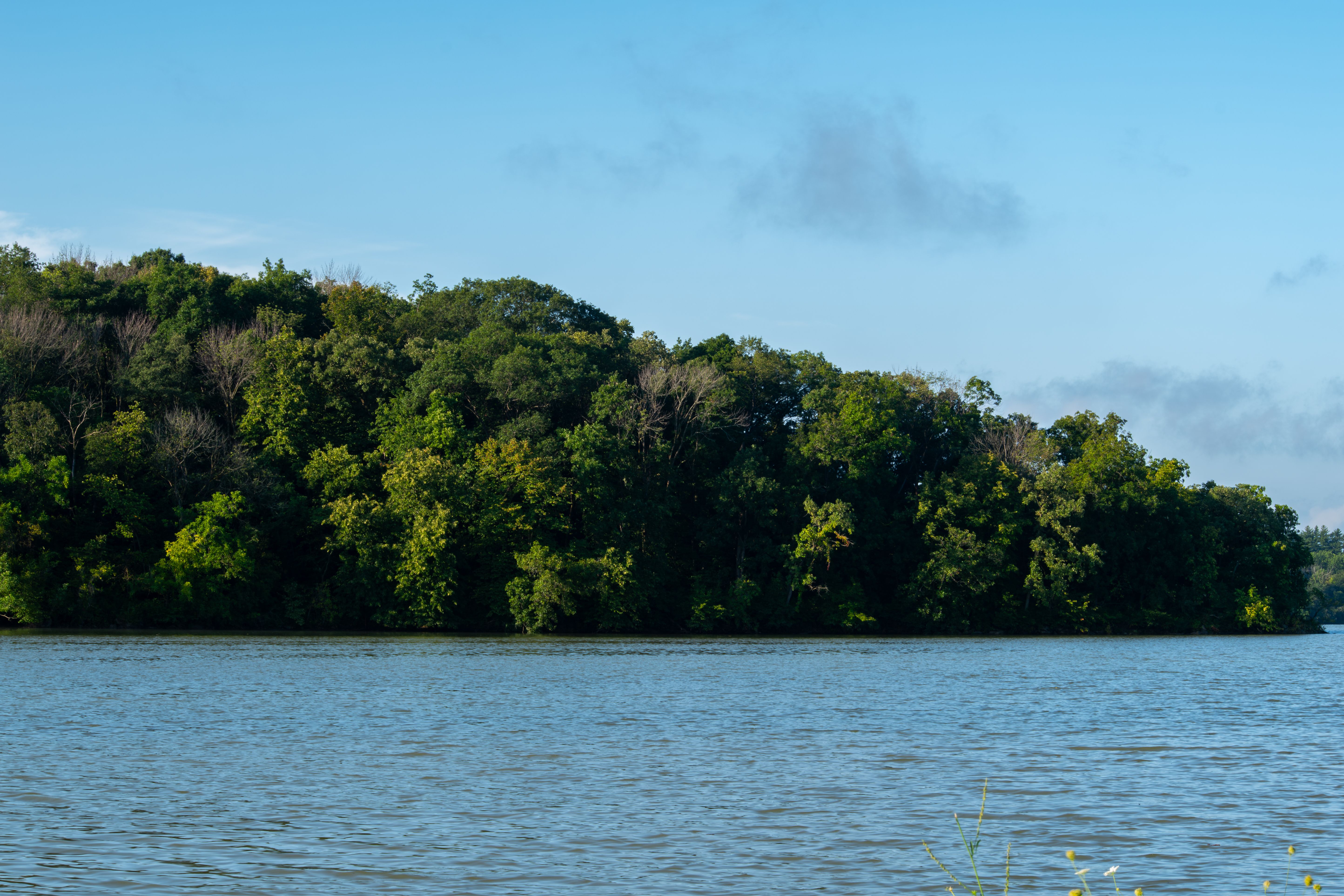Lakefront Photos, Download The BEST Free