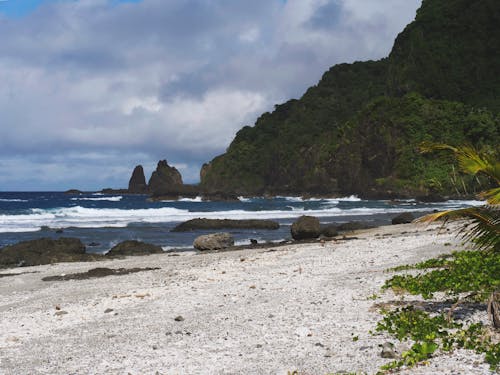 Beach on Tropical Sea Shore