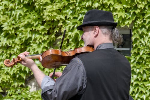 Základová fotografie zdarma na téma housle, houslista, hraní