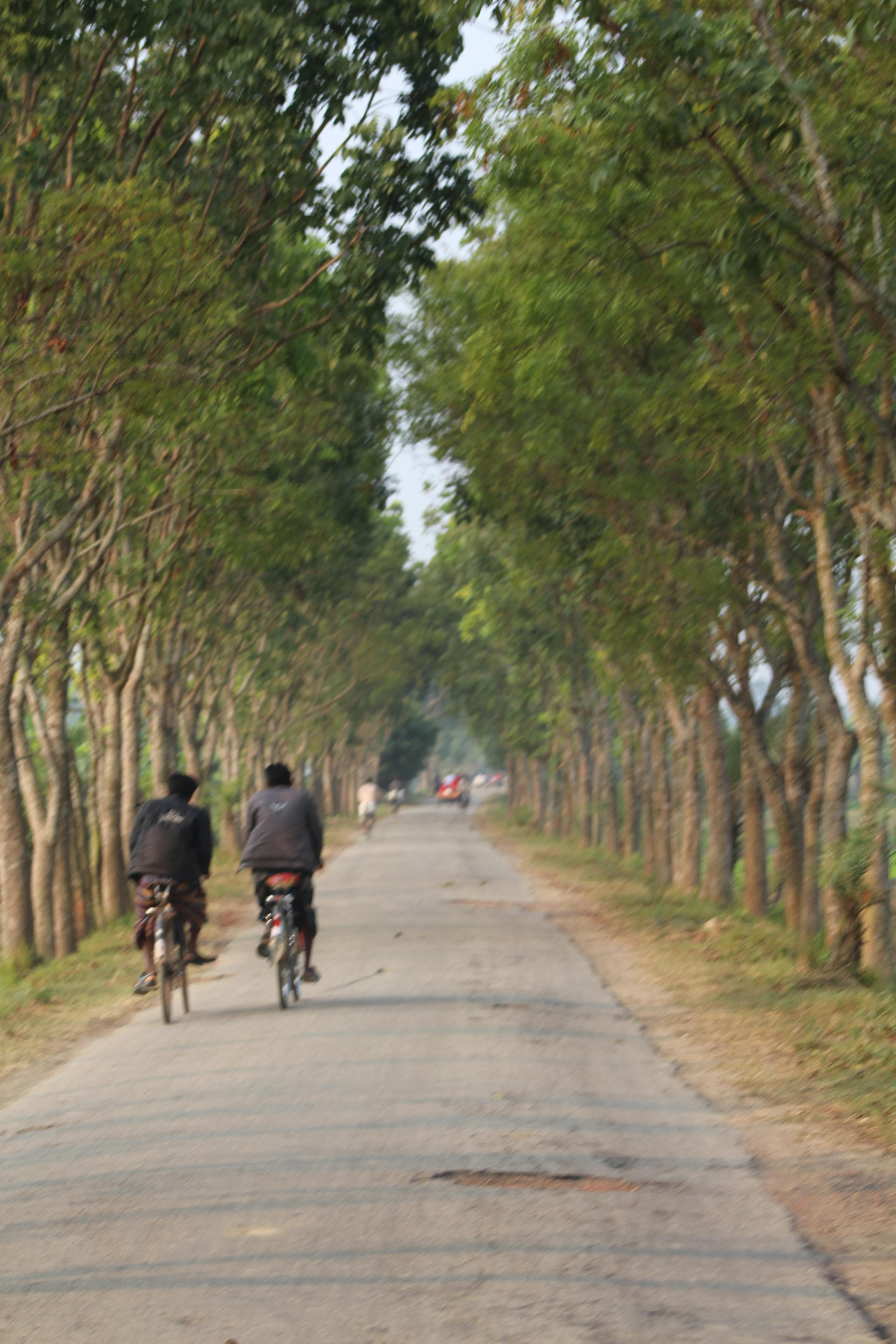 Free stock photo of road, Village Road, রাস্তা