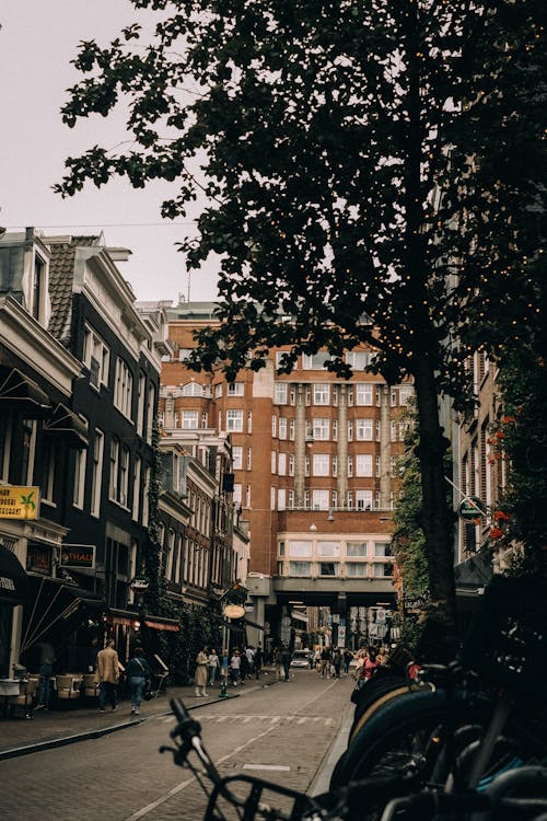 คลังภาพถ่ายฟรี ของ ถนนในเมือง, ที่อยู่อาศัย, ย่านที่อยู่อาศัย