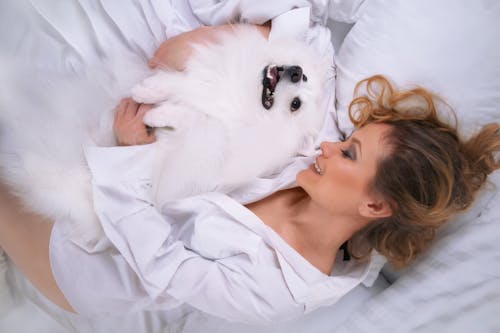 Ảnh lưu trữ miễn phí về bã đậu, chó pomeranian, cô gái da nâu