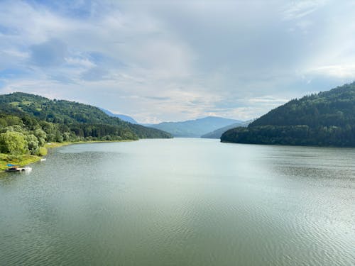 Ingyenes stockfotó dombok, erdő, fák témában