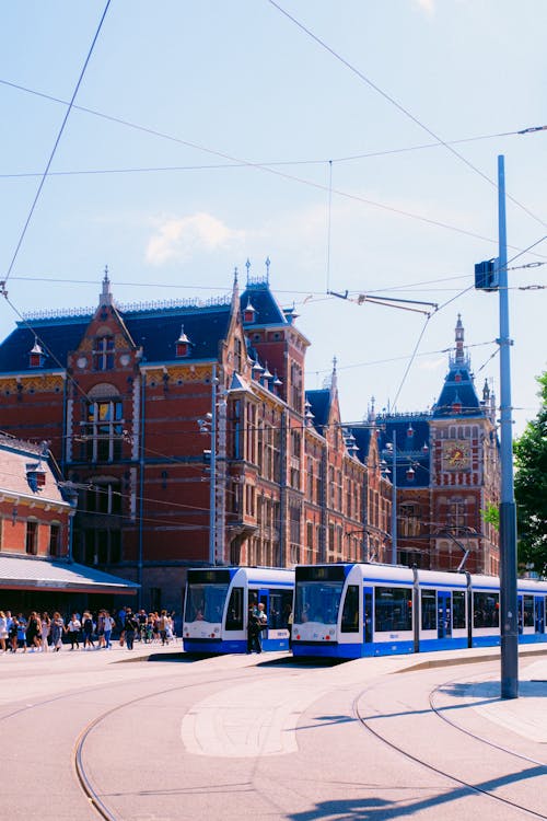 Trams on Street in City Downtown