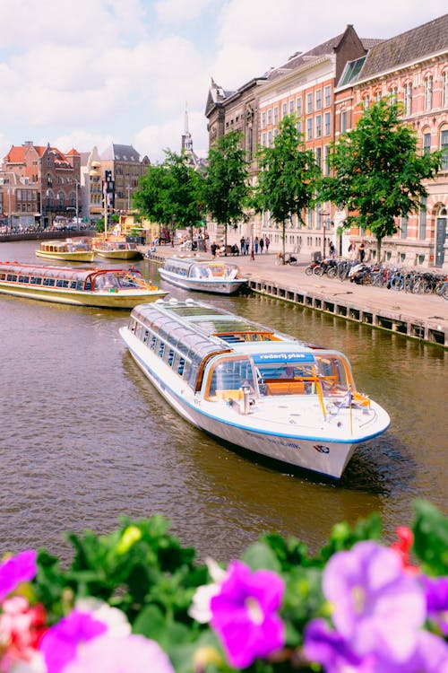 Gratis Fotos de stock gratuitas de amsterdam, barcos de pasajeros, canal Foto de stock