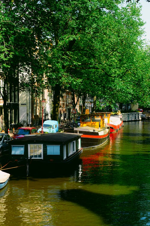 Immagine gratuita di alberi, amsterdam, barche