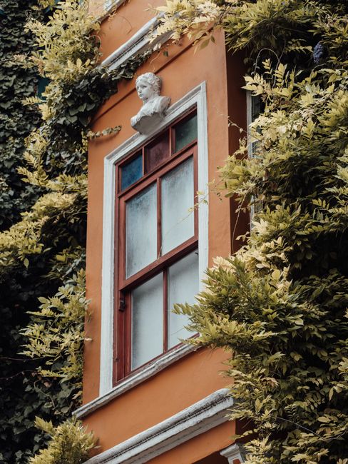 Vintage building facade adorned with lush green foliage and a classical bust, urban charm captured.