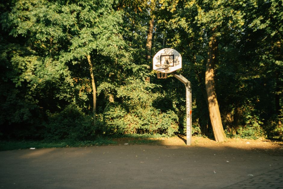 A basketball hoop stands amidst lush green trees, bathed in sunlight on a quiet outdoor court.