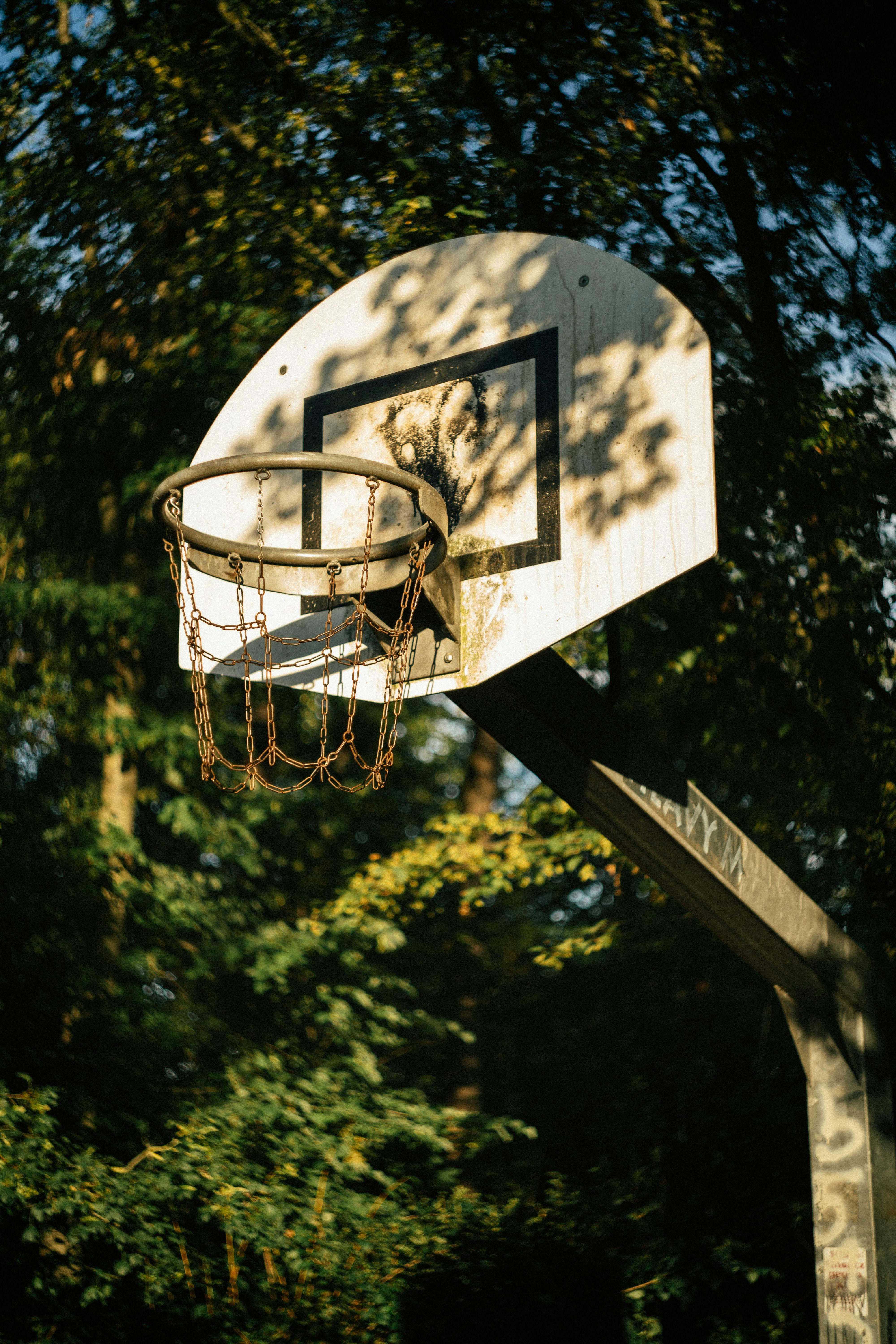 A sunlit basketball hoop in a public park, surrounded by trees, captured in late afternoon light.