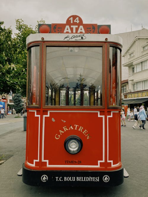 Imagine de stoc gratuită din bolu, călătorie, curcan