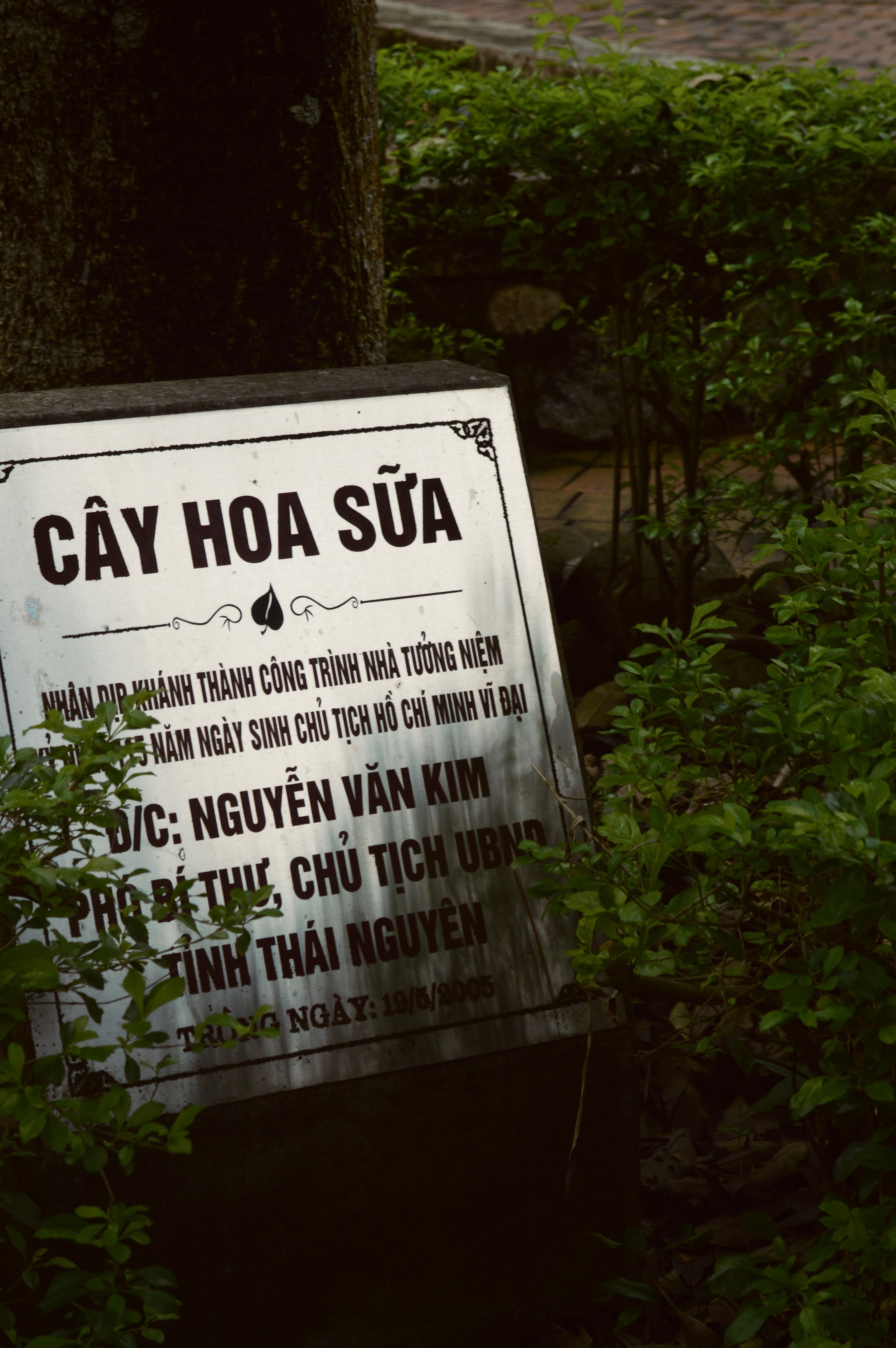 Commemorative plaque among lush greenery in Thái Nguyên, Vietnam park.