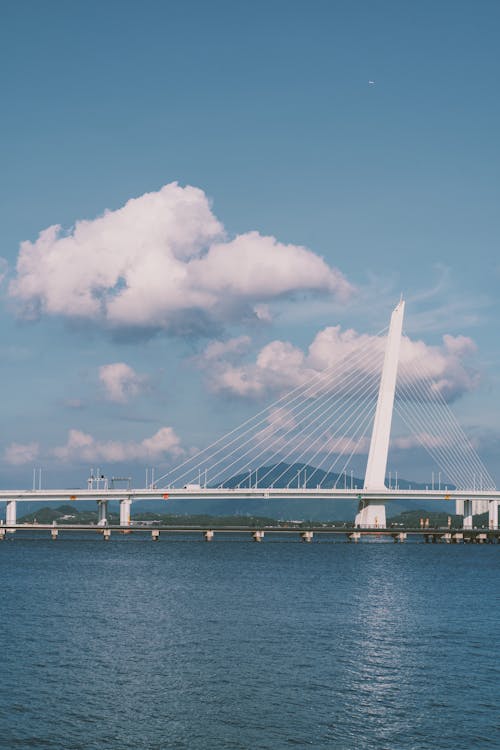  Shenzhen Bay Bridge, China 