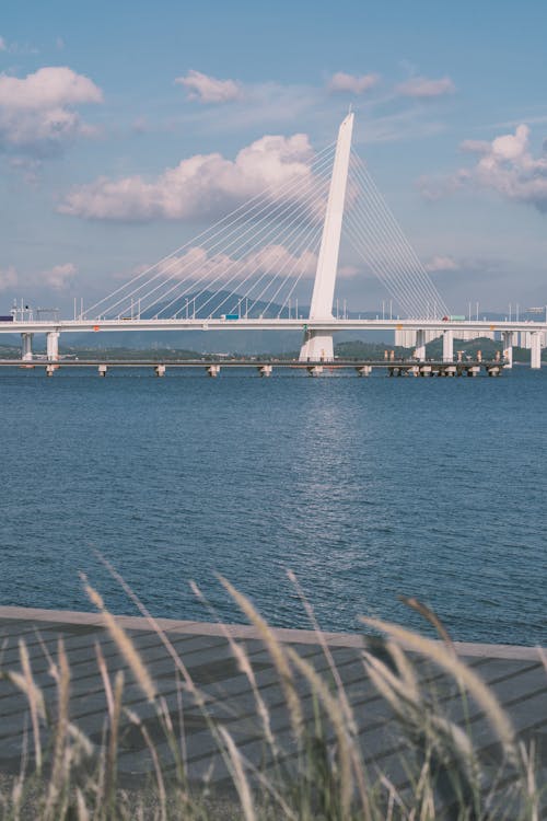 View of the Shenzhen Bay Bridge, China