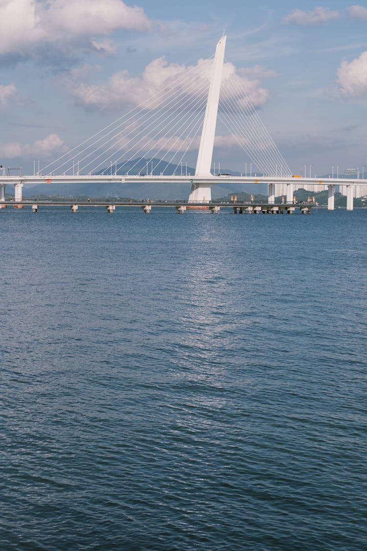 Shenzhen Bay Bridge In China And Hong Kong