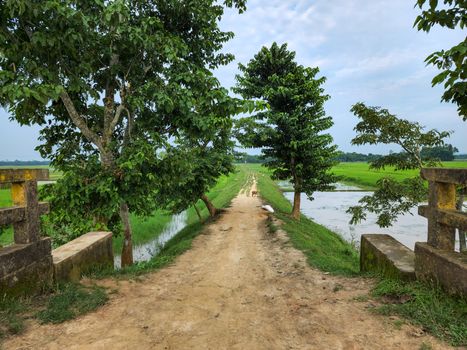 Village road, dusty soil with green grass