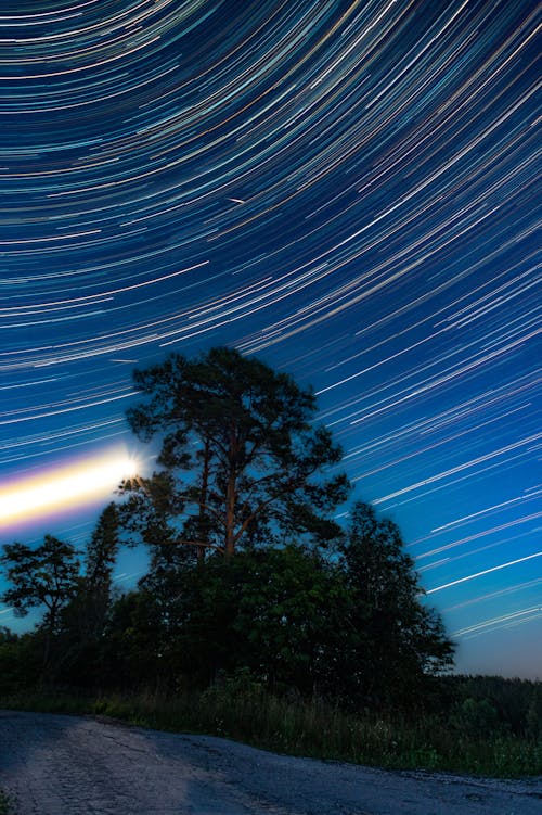 Photos gratuites de accéléré, arbres, champ d'étoiles