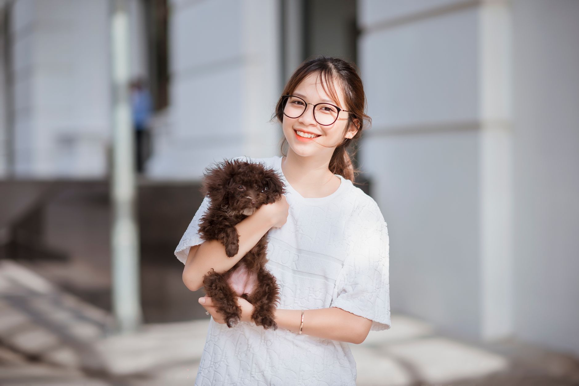 Illustration — Est-il possible d'emmener son chien dans une entreprise ?