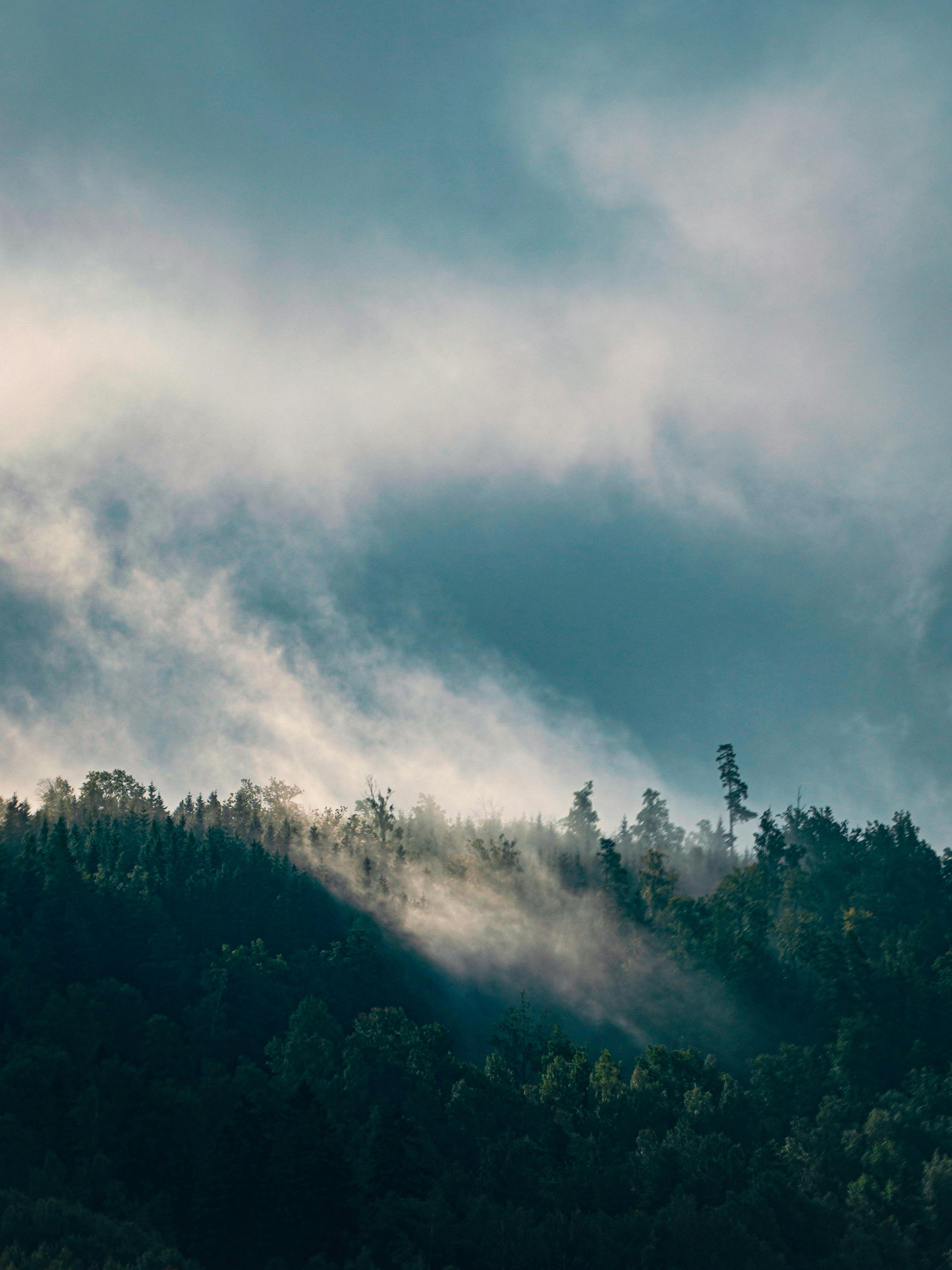 389853 Foggy Morning Mountains 4k  Rare Gallery HD Wallpapers