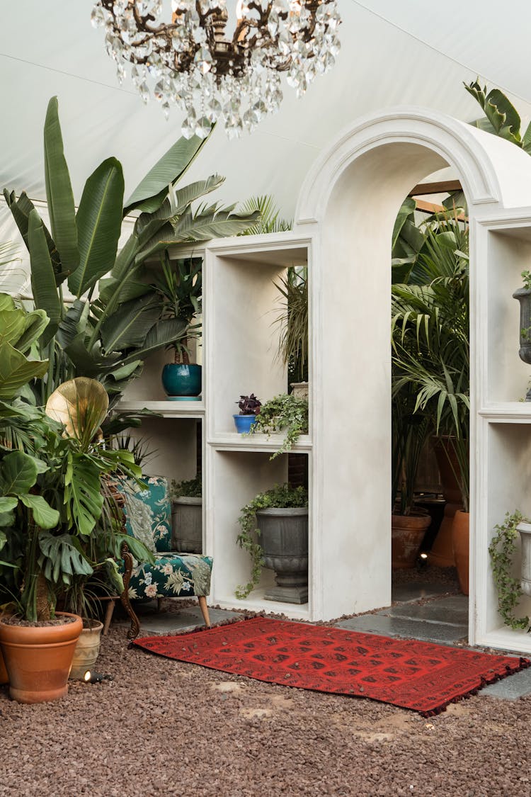 Arch Entrance In Potted Plants