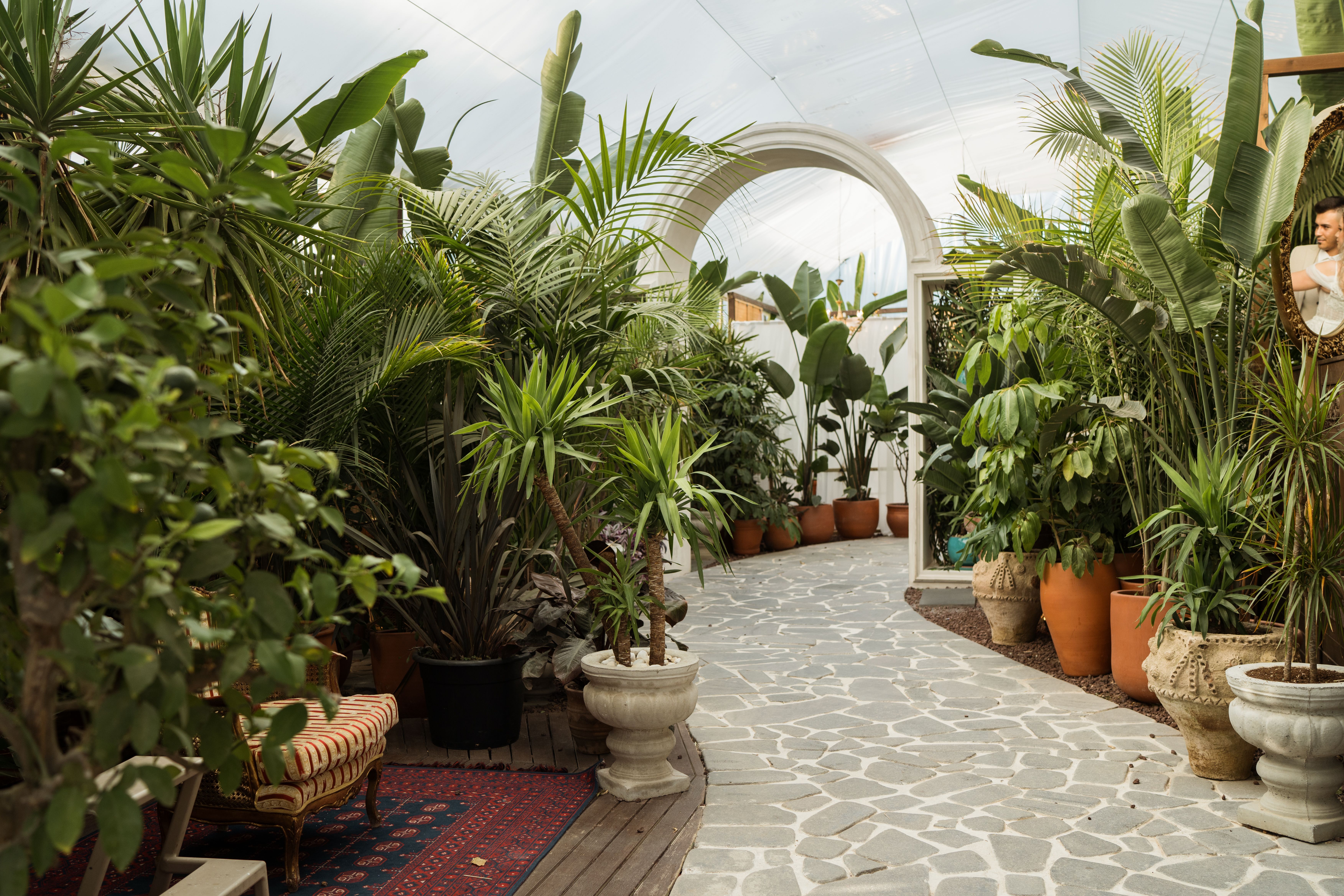 Warm lit glasshouse interior with palms on a grey winter afternoon