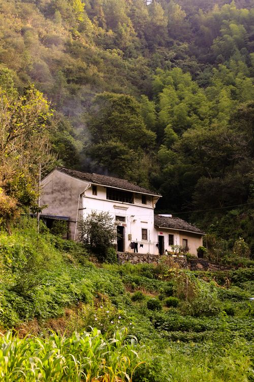 Free Idyllic farmhouse nestled in lush countryside, captured in summer's warm glow. Stock Photo