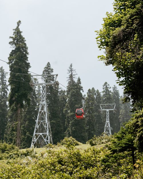 Free Red gondola lift traveling through dense coniferous forest in Gulmarg during summer. Stock Photo