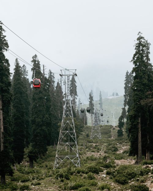 Free A cable car traversing through dense coniferous forests in Gulmarg, offering breathtaking mountain views. Stock Photo