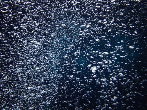 Foto profissional grátis de água, bolhas, borbulhante