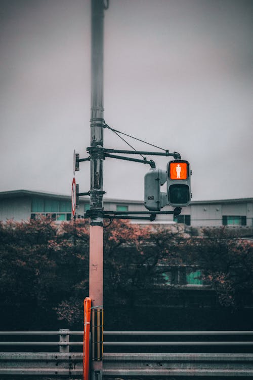 Traffic light in Kyoto