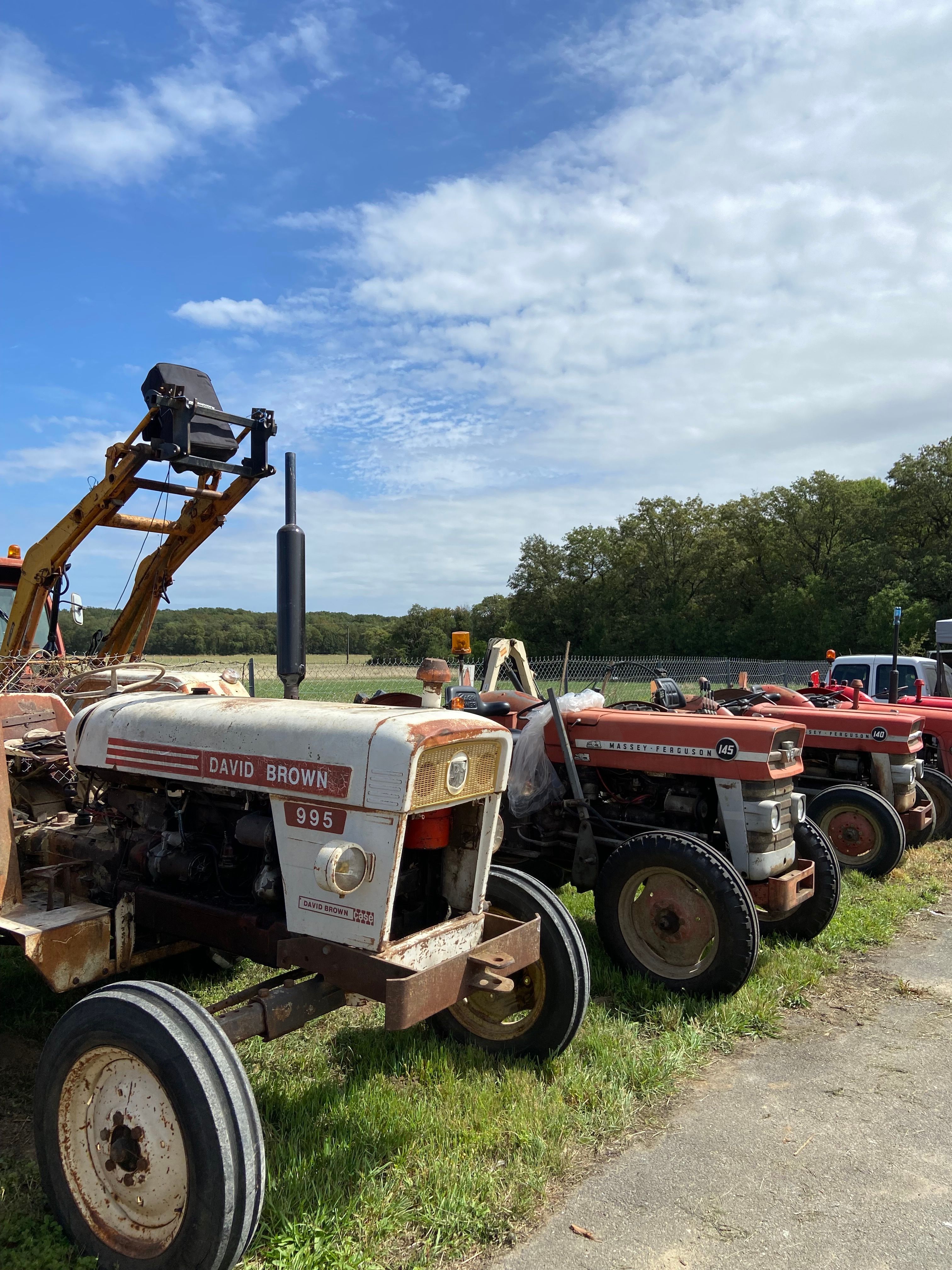 A row of vintage tractors, including a David Brown, displayed in a rural landscape under a blue sky.