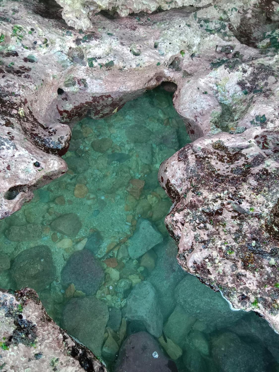 Rocks in Lake in Nature · Free Stock Photo
