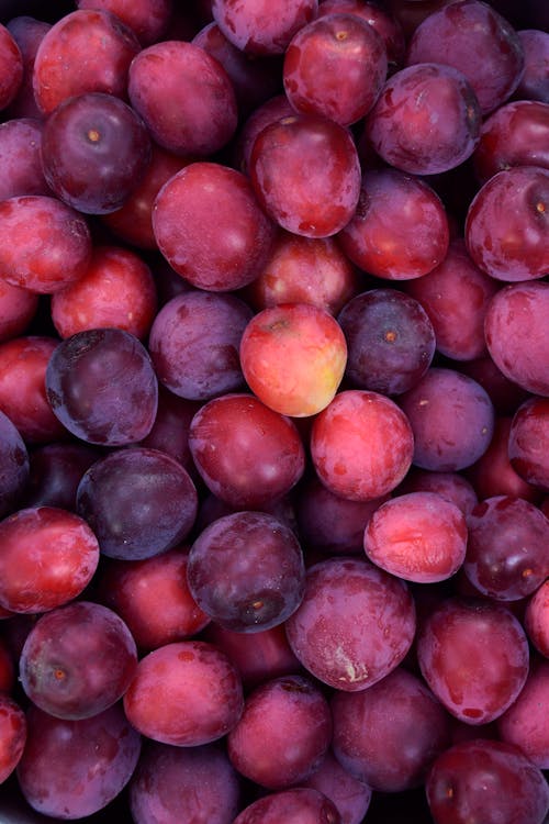 Grapes on a Farm 