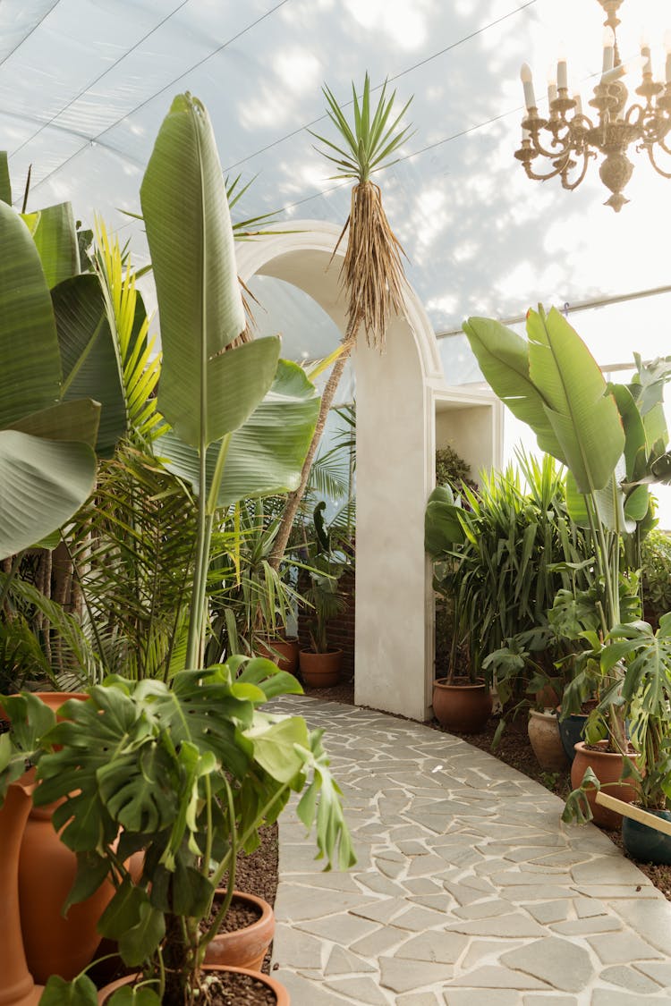 Path With Arch In Tropical Park