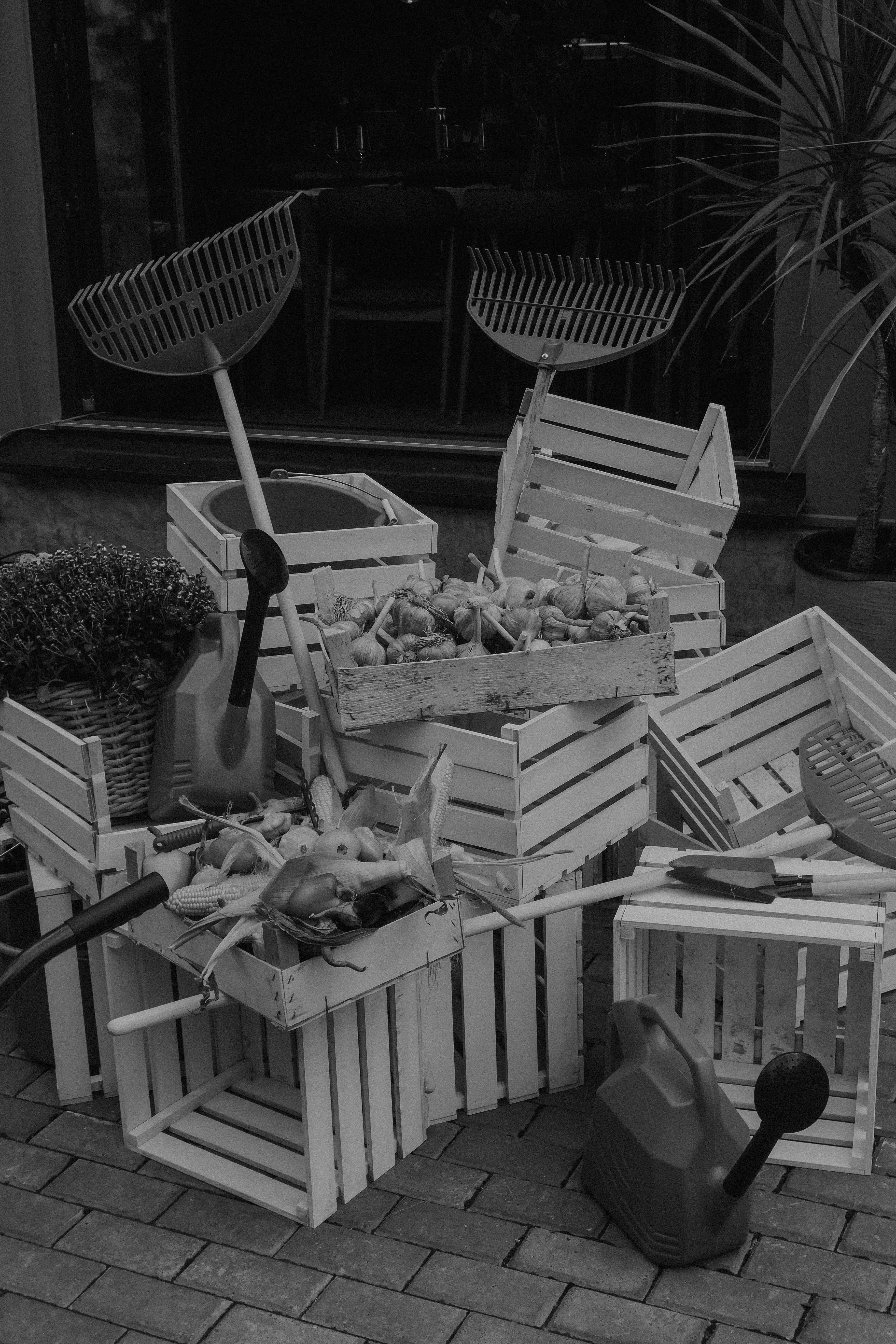 Artistic black and white photo of wooden crates filled with autumn harvest and gardening tools outdoors.