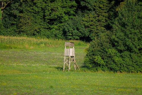 A Hunting Stand in a Field