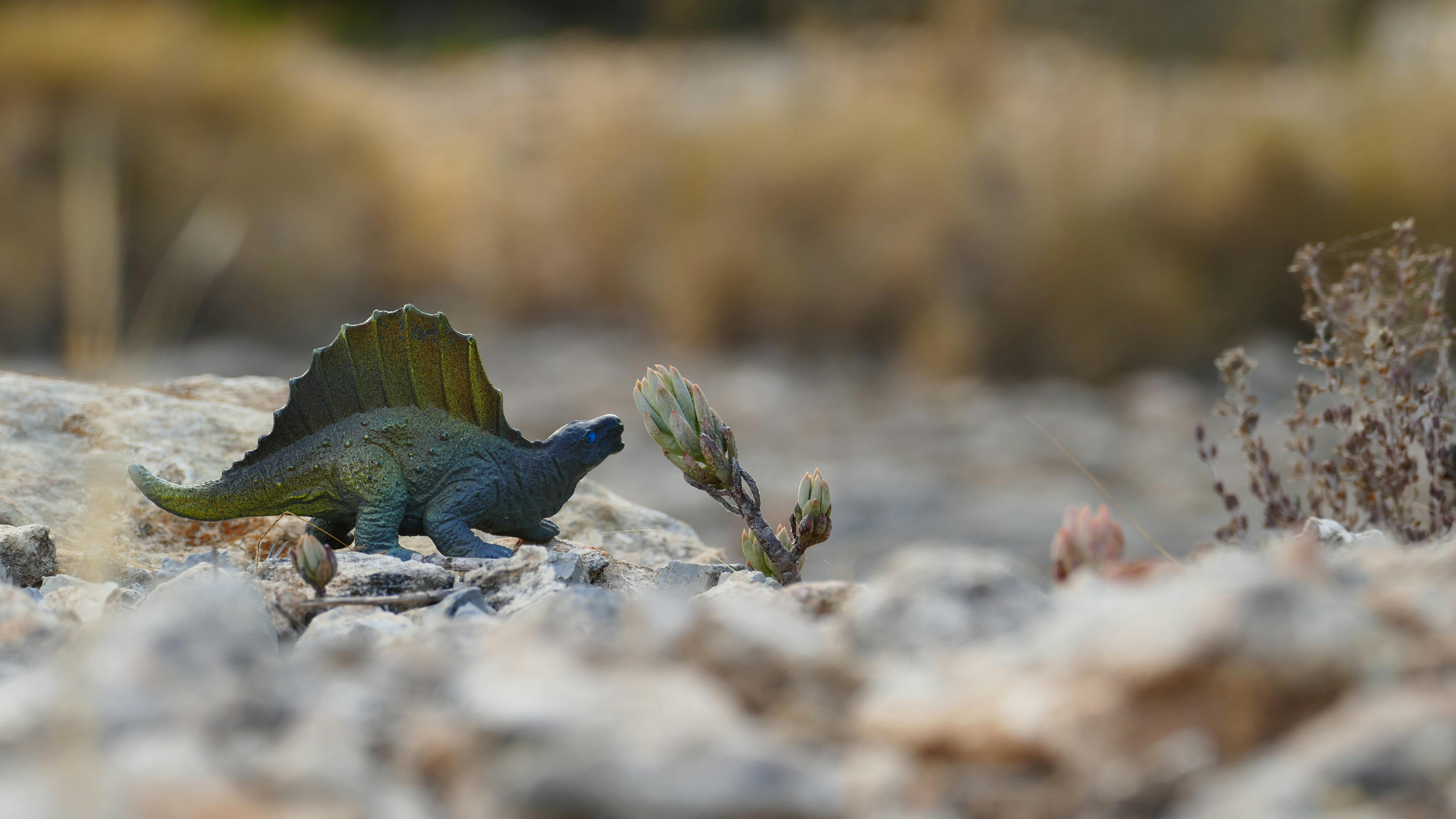 dinousaur figurine by plant