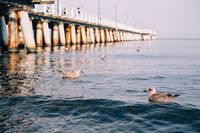 Gdynia