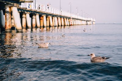 Gdynia