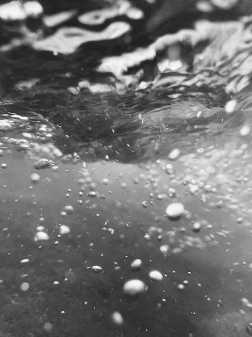 Bubbles in Water in Black and White