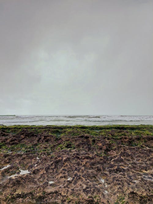 Бесплатное стоковое фото с вертикальный выстрел, море, морской берег